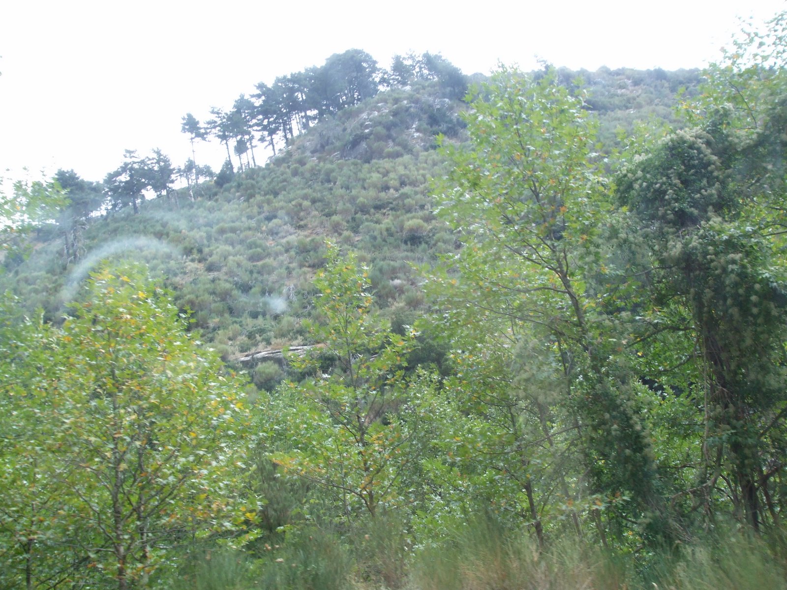 this in southern Greece, can you believe it?