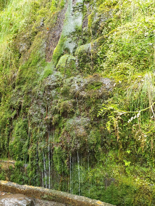 Levada1.jpg